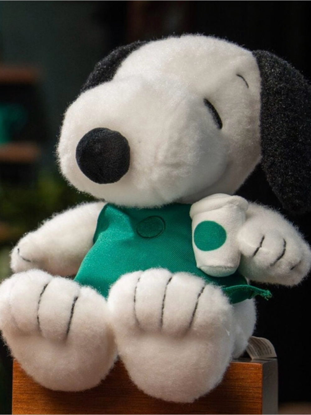 🐶 Starbucks White & Black Snoopy Plush 2026 Fall Edition